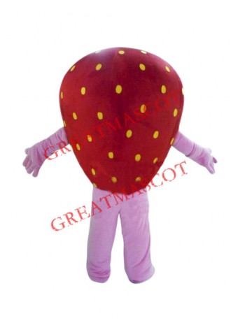 Happy Strawberry Girl Mascot Costume