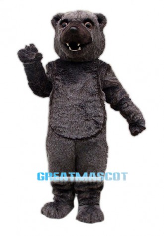 Cocomo Bear Mascot