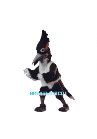 Road Runner Mascot Costume