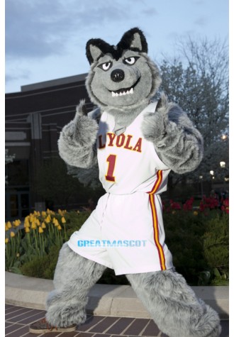 Gey Wolf Sport Football Team Mascot Costumes Free Shipping
