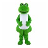 Cartoon Plush Frog Mascot Costume