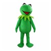 Happy Smiling Frog Mascot Costume