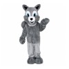 Lovely Grey Squirrel Mascot Costume