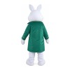 Ceremonial Rabbit With Green Windbreaker Mascot Costume