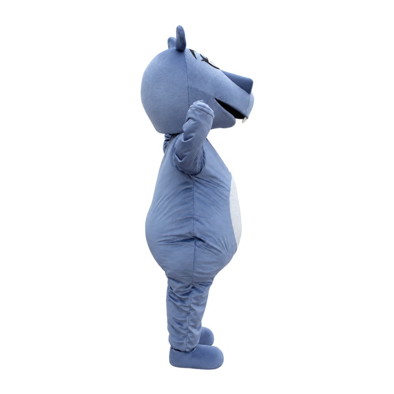 For Activity Performance Cartoon Hippo Mascot Costume