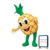 Cartoon Fresh Big Eyes Pineapple Mascot Costume