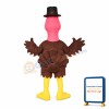 Brown Chicken With Red Head Mascot Costume