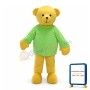 Cute Cartoon Yellow Bear Mascot Costume For Adult