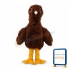 Adult Size Dark Brown Bird Mascot Costume