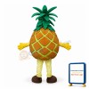 Deluxe Cartoon Pineapple Lightweight Mascot Adult Costume