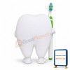 Adult Cartoon Tooth With Toothbrush Lightweight Mascot Costume