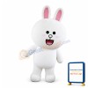 Adorable Cony the Rabbit Mascot Costume