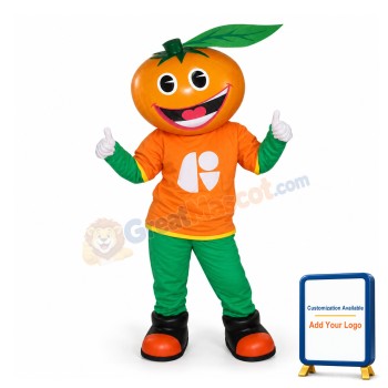 Smiling Orange Cartoon Mascot Fancy Dress Costume