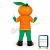 Smiling Orange Cartoon Mascot Fancy Dress Costume