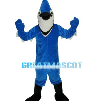 Adult Pointed Blue Bird Mascot Costume