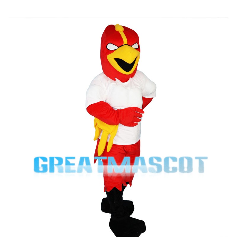 Square Head Red Eagle Mascot Costume