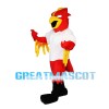 Square Head Red Eagle Mascot Costume
