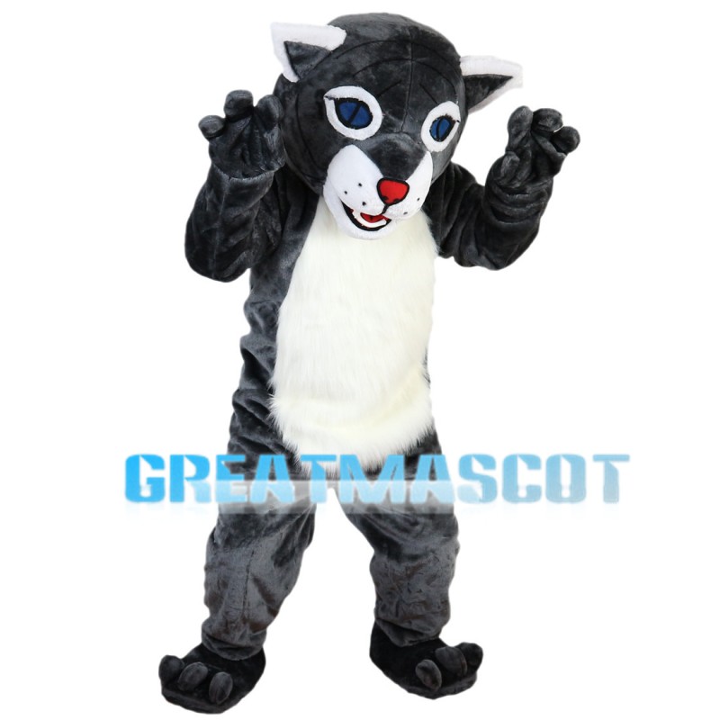 Blue Eyes Wolf With Furry Belly Mascot Costume