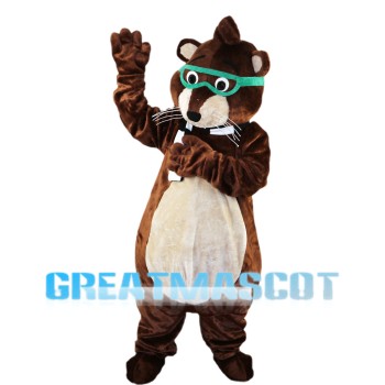 Lovely Raccoon With Green Goggle Mascot Costume