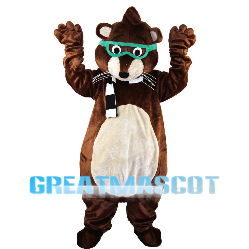 Lovely Raccoon With Green Goggle Mascot Costume