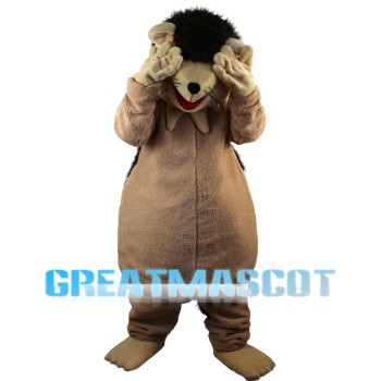 Adult Playing Hedgehog Mascot Costume