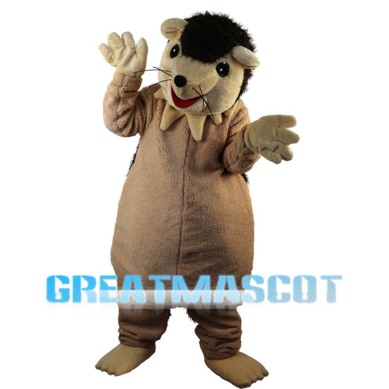 Adult Playing Hedgehog Mascot Costume