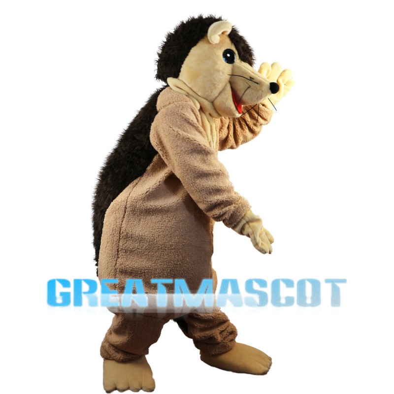Adult Playing Hedgehog Mascot Costume