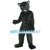 Majestic Powerful Black Panther Mascot Costume