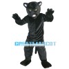 Majestic Powerful Black Panther Mascot Costume