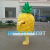 Cartoon Smiling Pineapple Mascot Costume