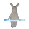 Raving Rabbids With Buck Tooth Mascot Costume