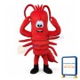 Interesting Cartoon Lobster Mascot Costume