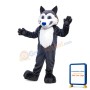 Morgan School Husky Mascot Costume