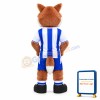 Football Fox Mascot Costume