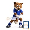 College Football Fox Mascot Costume