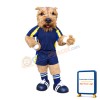 Football Norwich Terrier Dog Mascot Costume
