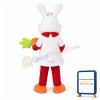 Easter Carrot Bunny Rabbit Cartoon Mascot Costume
