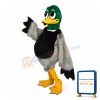 Cute Cartoon Mallard Duck Mascot Costume