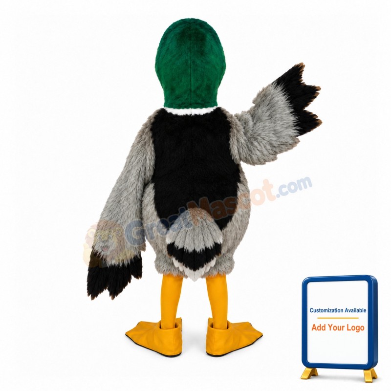 Cute Cartoon Mallard Duck Mascot Costume