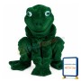 Green Frog Animal Mascot Adult Costume