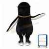 Cool Penguin Mascot Costume
