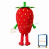 Smiling Cartoon Strawberry Lightweight Mascot Costume
