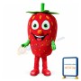 Smiling Cartoon Strawberry Lightweight Mascot Costume