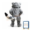 Raccoon Animal Mascot Costume