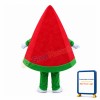 Slice Red Stuffed Watermelon Mascot Costume