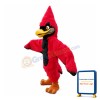 Grumpy Pointed Head Eagle Mascot Costume