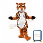 Veridical Young Tiger Mascot Costume