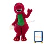 Pink & Green Dragon Mascot Costume