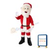 Helpful Kind Santa Claus Mascot Costume