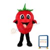 Cartoon Big Eyes Strawberry Mascot Costume